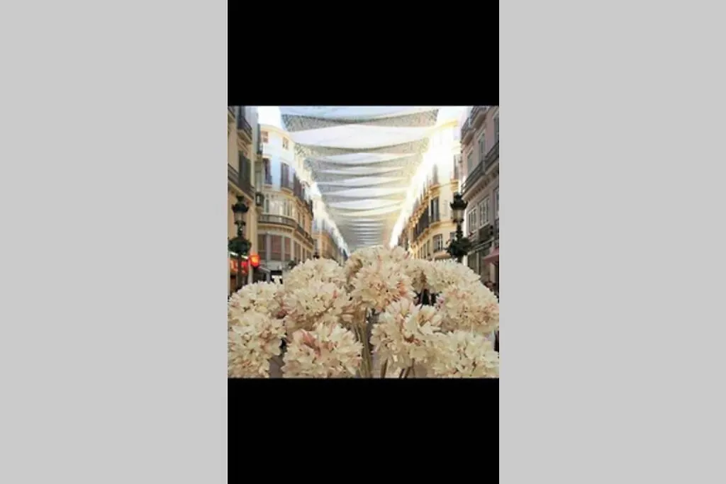 Appartamento Soho10 San Lorenzo Málaga